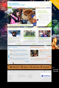 CAFT Homepage Bonfire